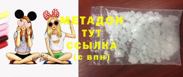 стаф Алзамай