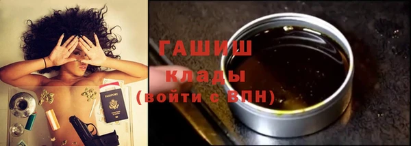 стаф Алзамай