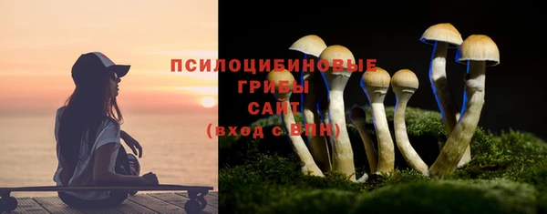 стаф Алзамай