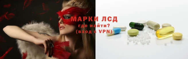 стаф Алзамай