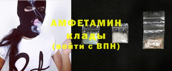 стаф Алзамай