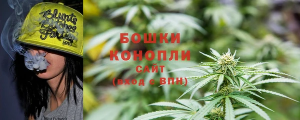 не бодяженный Пересвет