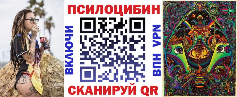 цены наркотик  блэк спрут сайт  Псилоцибиновые грибы GOLDEN TEACHER  Дмитров 